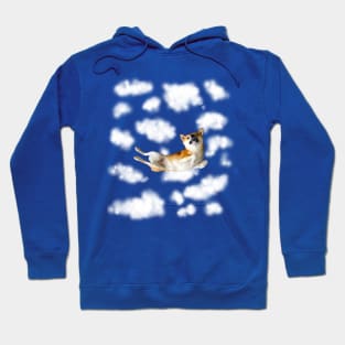 Lilly the Shiba Inu Skydiving Freefall Hoodie